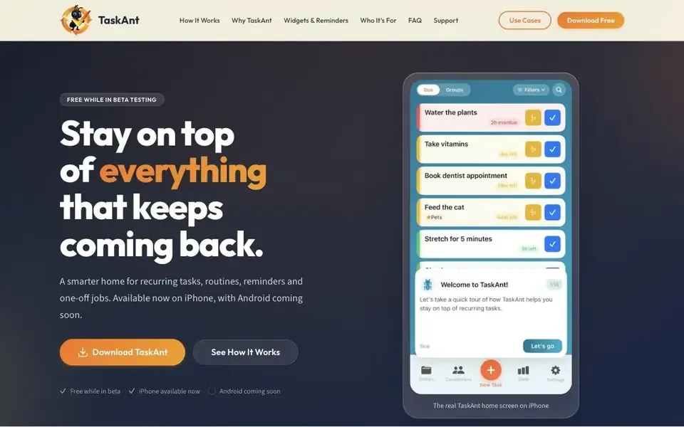 The TaskAnt website